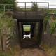 Image for article titled These Incredible Man-Made Highways Are Built Just for Animals